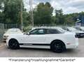 Ford Mustang 5.0 GT V8*Cabrio*Automatik*Unfallfrei* Weiß - thumbnail 15