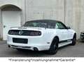 Ford Mustang 5.0 GT V8*Cabrio*Automatik*Unfallfrei* Weiß - thumbnail 18