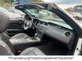 Ford Mustang 5.0 GT V8*Cabrio*Automatik*Unfallfrei* Weiß - thumbnail 26