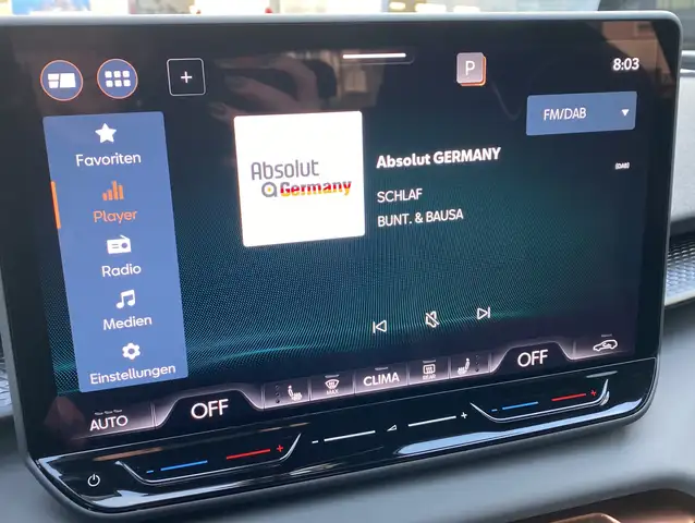 Cupra Terramar view 7