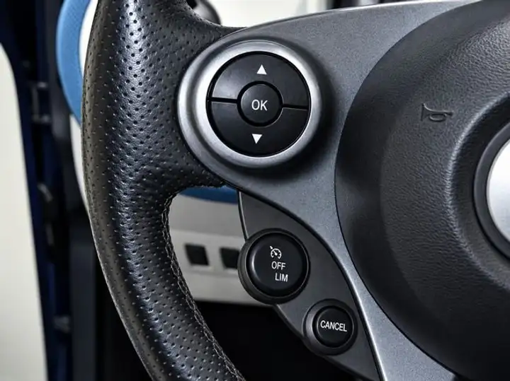smart Forfour 2016, foto 10