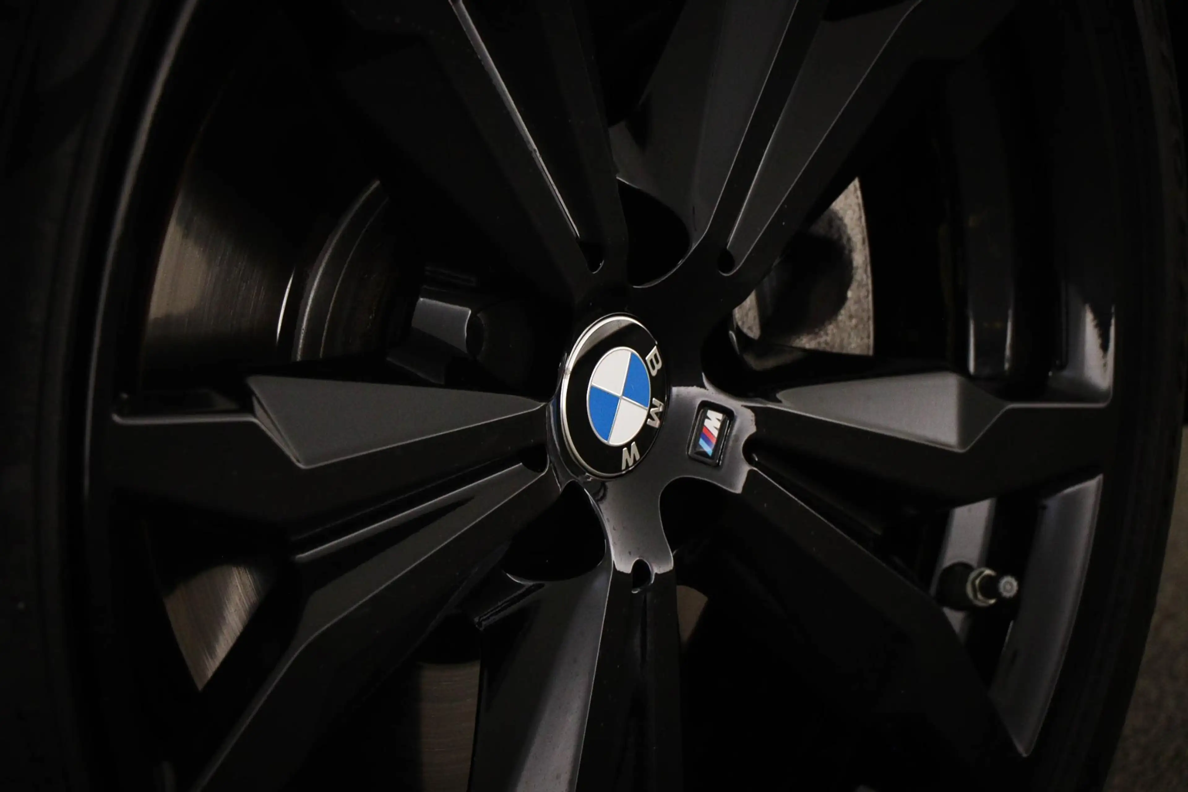 BMW X2 sDrive20i M-Sport Edition | PANORAMADAK | DAB | DR — photo 28