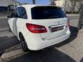 Mercedes-Benz B 200 200 CDI FASCINATION Blanco - thumbnail 15