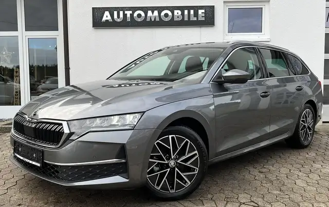 2025 Skoda Octavia in Grey for sale