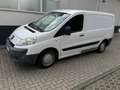 Peugeot Expert Expert L1H1 LF Alb - thumbnail 12