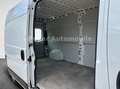 Fiat Ducato 35 L4H2 MAXI *HOCH+LANG*NAVI*KAMERA*AHK* Weiß - thumbnail 20