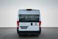 Fiat Ducato 35 L4H2 MAXI *HOCH+LANG*NAVI*KAMERA*AHK* Weiß - thumbnail 10