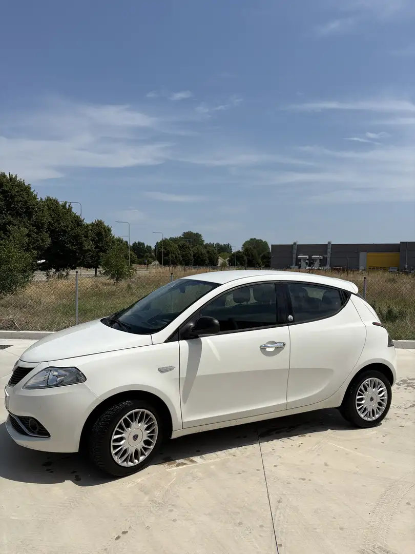 Lancia Ypsilon 1.2 Ecochic Gpl - 1