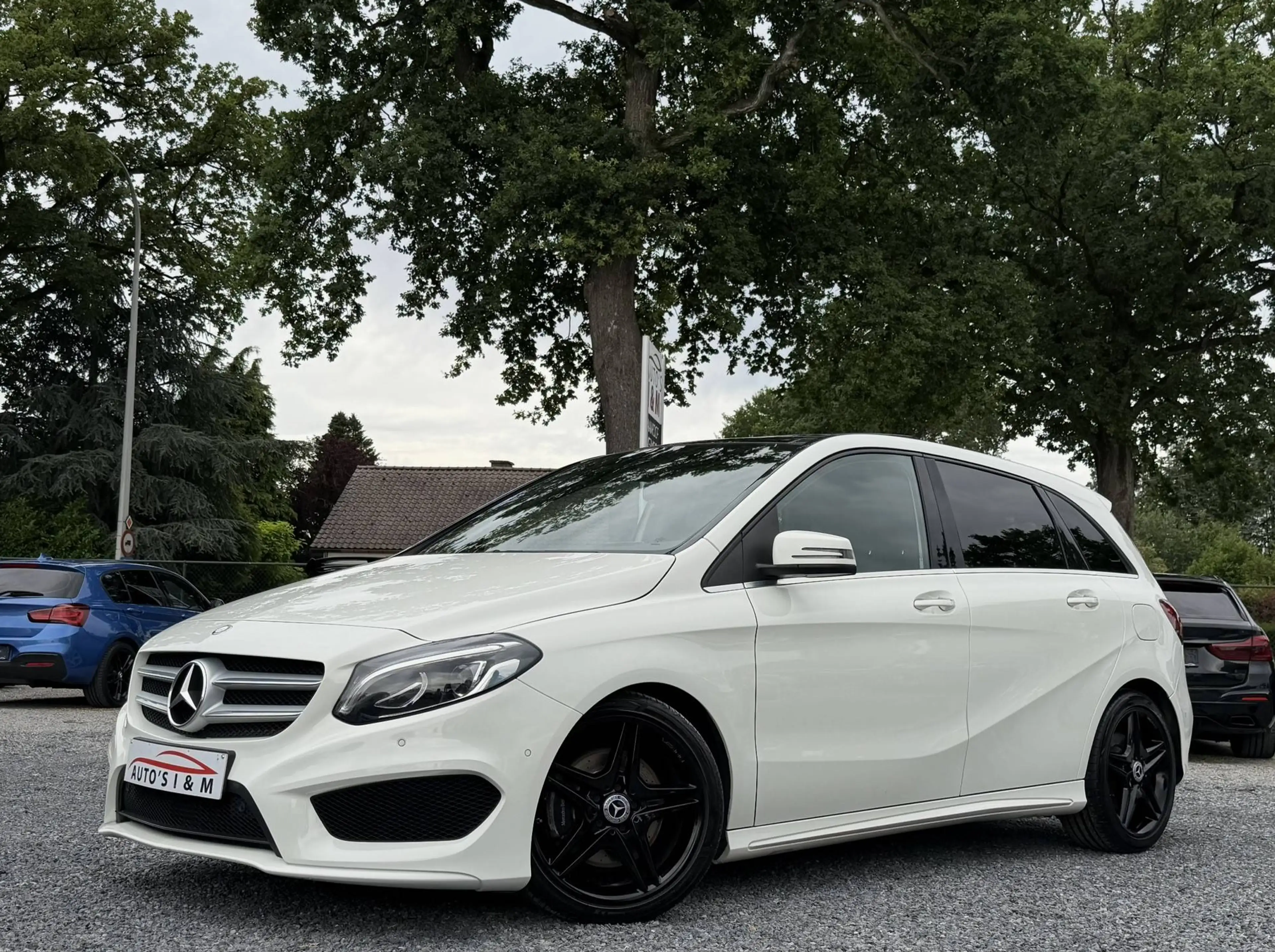 Mercedes-Benz B 220 CDI 4-Matic AMG line Pano H&K Sfeerv. Garantie!