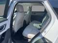 Land Rover Range Rover Velar D300 Dynamic SE Pano Grau - thumbnail 10