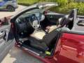 Renault Megane Mégane Exception 2,0 dCi Rouge - thumbnail 6