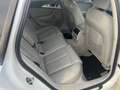 Audi A6 Avant 3.0 TDI quattro/S-INE/LEDER/LED/19-ZOLL Weiß - thumbnail 17