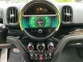 MINI Cooper S Countryman 2.0 ALL4 Automatica Green - thumbnail 11