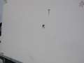 Mercedes-Benz Sprinter 314 CDI T39/35 Frigo FRCX FWD Motore Rotto Bianco - thumbnail 15