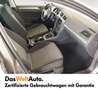 Volkswagen Golf Variant Trendline TDI Grigio - thumbnail 15