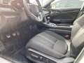 Honda Civic 1.0 i-VTEC Executive MY21 NAVI PANO 2J GARANTIE Білий - thumbnail 9