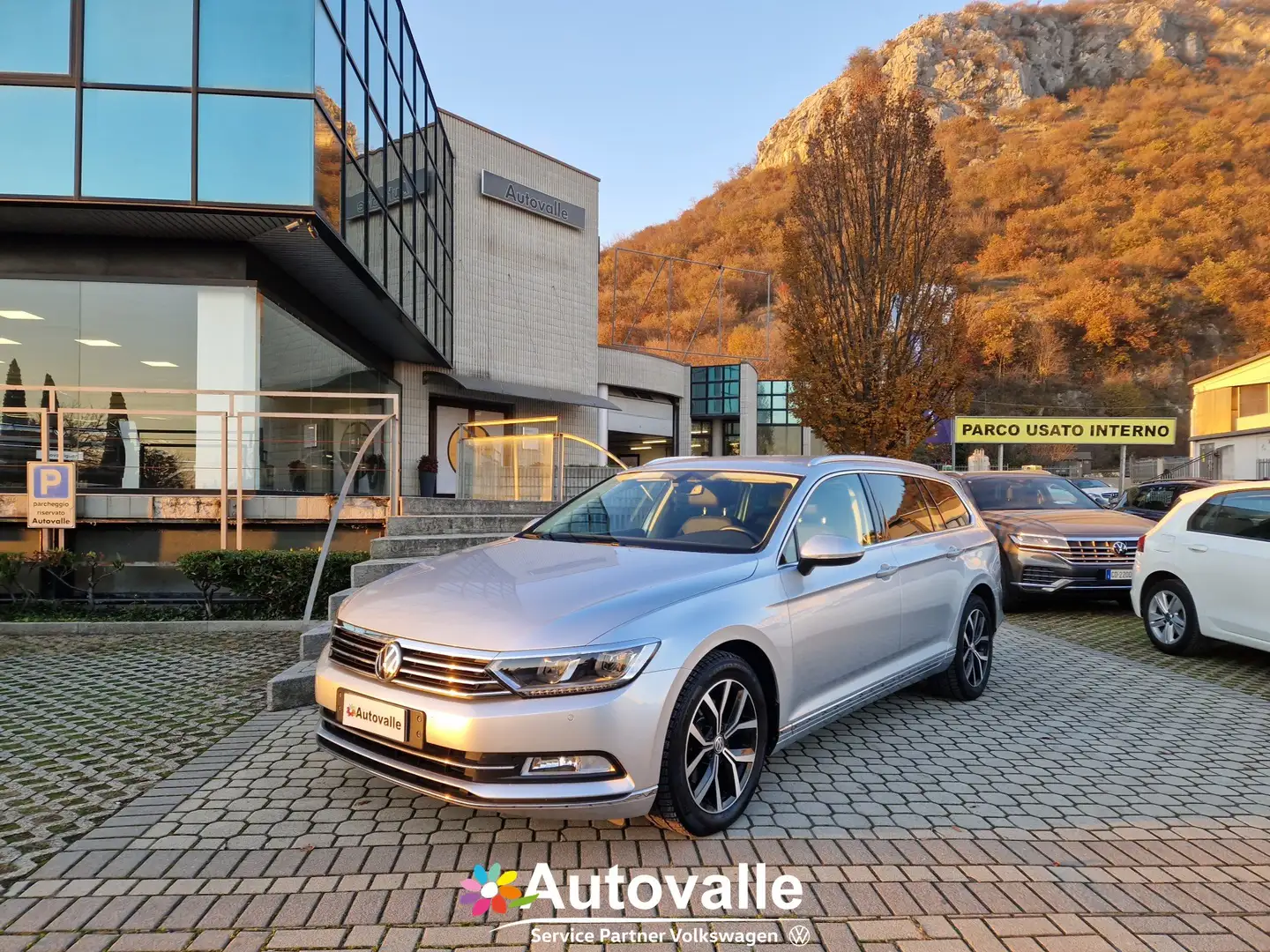 Volkswagen Passat Variant Passat Variant 2.0 TDI DSG Executive BlueMotion T Argento - 1