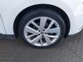 Renault Scenic LIMITED Blue Weiß - thumbnail 14