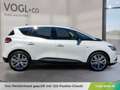 Renault Scenic LIMITED Blue Weiß - thumbnail 8