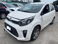 Kia Picanto 1.0 Bianco - thumbnail 1