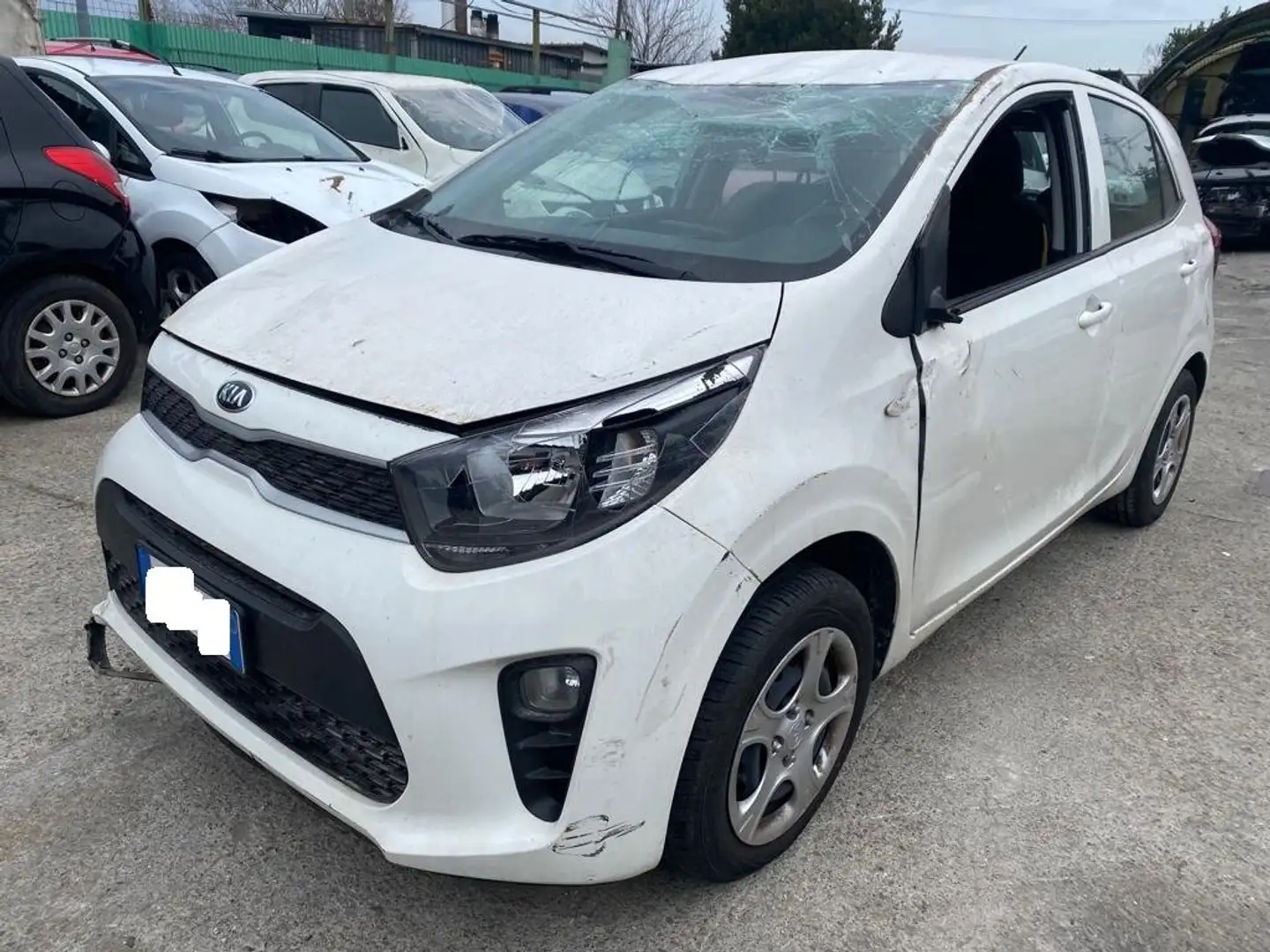 Kia Picanto 1.0 Bianco - 1