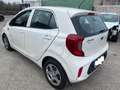 Kia Picanto 1.0 Bianco - thumbnail 4