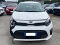 Kia Picanto 1.0 Bianco - thumbnail 2