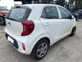 Kia Picanto 1.0 Bianco - thumbnail 5