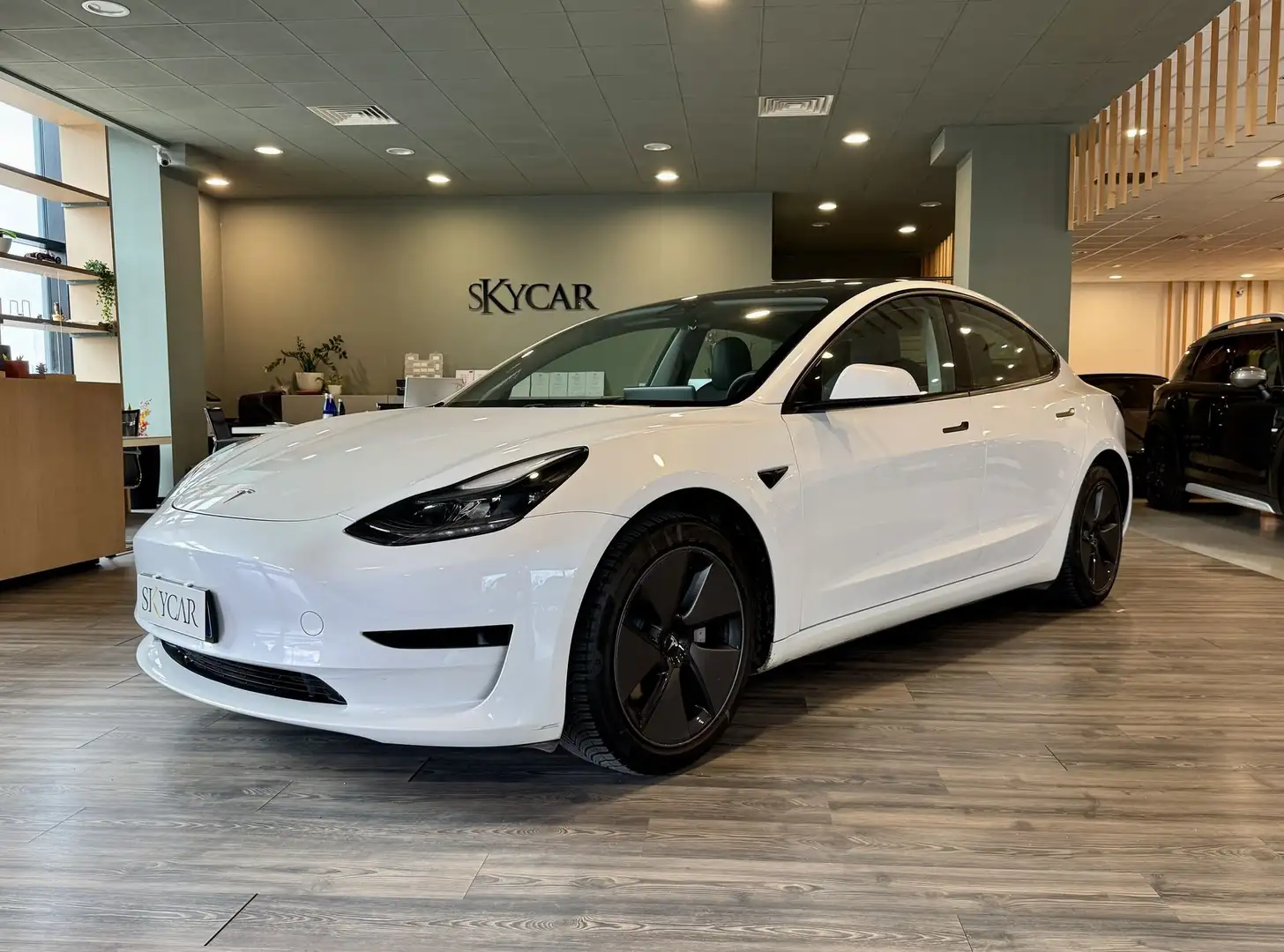 Tesla Model 3 Model 3 RWD Bianco - 1