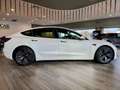 Tesla Model 3 Model 3 RWD Bianco - thumbnail 8