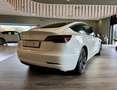 Tesla Model 3 Model 3 RWD Bianco - thumbnail 7