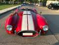 AC Cobra AC Cobra PILGRIM Rot - thumbnail 9