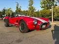 AC Cobra AC Cobra PILGRIM Rot - thumbnail 5