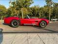 AC Cobra AC Cobra PILGRIM Rot - thumbnail 4