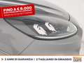 Ford Kuga 1.5 ecoblue st-line 2wd 120cv Gris - thumbnail 13