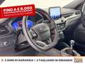 Ford Kuga 1.5 ecoblue st-line 2wd 120cv Gris - thumbnail 18