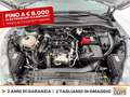 Ford Kuga 1.5 ecoblue st-line 2wd 120cv Gris - thumbnail 12