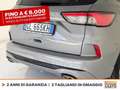 Ford Kuga 1.5 ecoblue st-line 2wd 120cv Gris - thumbnail 17