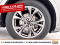 Ford Kuga 1.5 ecoblue st-line 2wd 120cv Gris - thumbnail 14