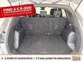 Ford Kuga 1.5 ecoblue st-line 2wd 120cv Gris - thumbnail 11