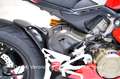 Ducati Panigale R Panigale V4 R MAI PISTA Rot - thumbnail 21