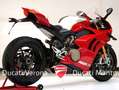 Ducati Panigale R Panigale V4 R MAI PISTA Rot - thumbnail 14