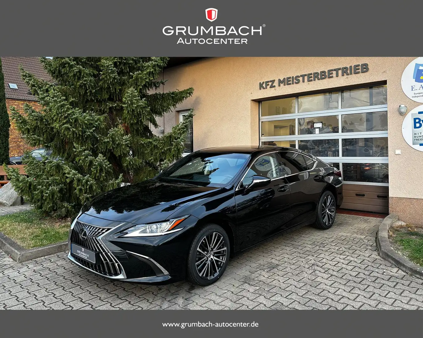 Lexus ES 300 300h 2.5 l-Hybrid Business Line 160 kW (218 PS)... Negro - 1