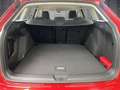 Volkswagen Golf Variant Golf Variant 1.5 eTSI Life DSG AHK+Navi+LED Rot - thumbnail 17