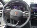 CUPRA Formentor Formentor 1.5 TSI DSG 150PS Navi ACC el.Heckkl. Ka Weiß - thumbnail 12