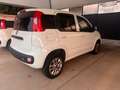 Fiat Panda Panda 0.9 t.air t. natural power Easy 80cv my19 Blanc - thumbnail 21