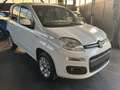 Fiat Panda Panda 0.9 t.air t. natural power Easy 80cv my19 Bianco - thumbnail 6