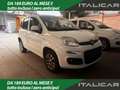 Fiat Panda Panda 0.9 t.air t. natural power Easy 80cv my19 Bianco - thumbnail 1