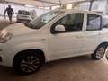 Fiat Panda Panda 0.9 t.air t. natural power Easy 80cv my19 Blanc - thumbnail 18
