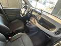 Fiat Panda Panda 0.9 t.air t. natural power Easy 80cv my19 Bianco - thumbnail 10